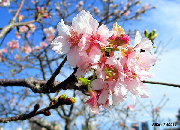 142-IMG_0765.JPG 142-IMG_0765.JPG