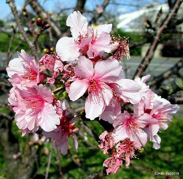 143-IMG_0761.JPG 143-IMG_0761.JPG