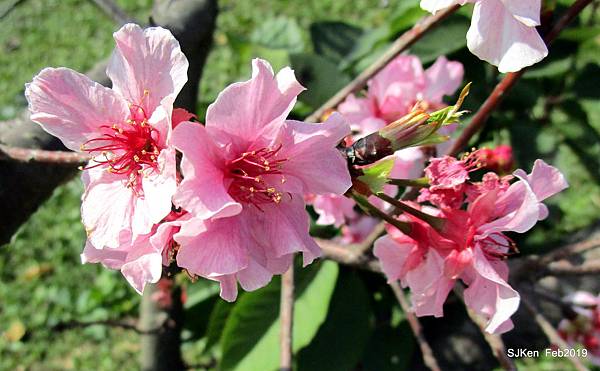 145-IMG_0744.JPG 145-IMG_0744.JPG