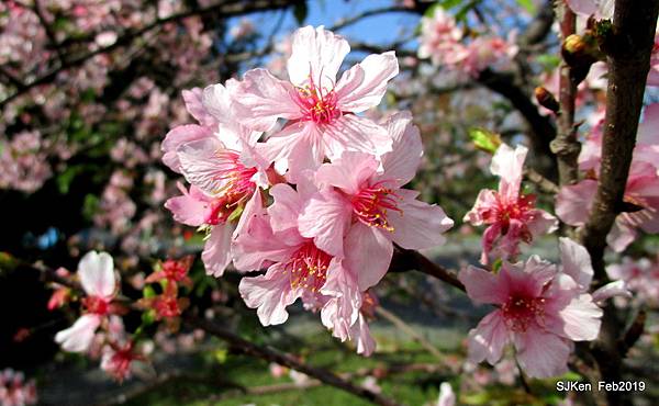 146-IMG_0771.JPG 146-IMG_0771.JPG