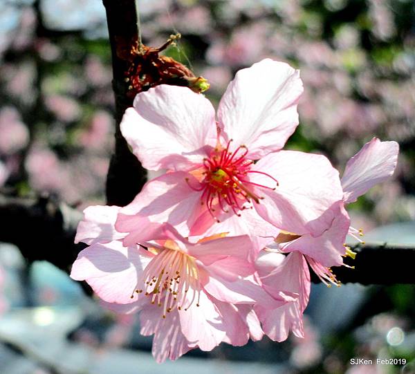 148-IMG_0732.JPG 148-IMG_0732.JPG