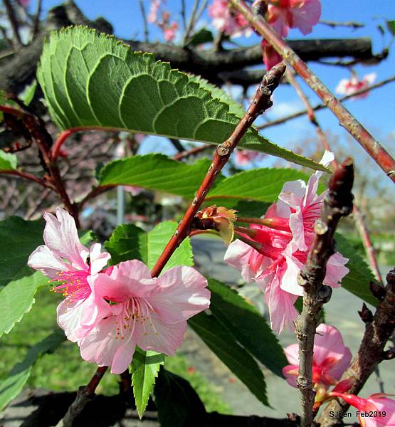 149-IMG_0743.JPG 149-IMG_0743.JPG