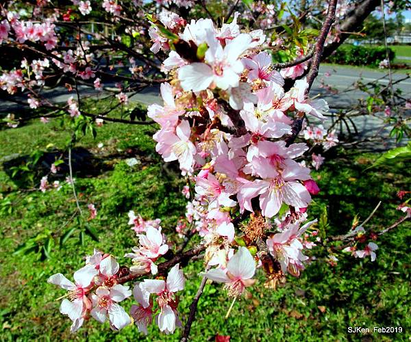 150-IMG_0768.JPG 150-IMG_0768.JPG