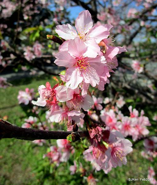 151-IMG_0769.JPG 151-IMG_0769.JPG