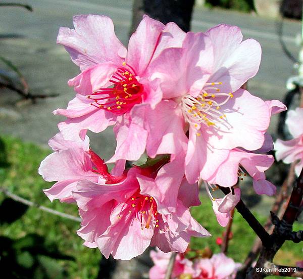 152-IMG_0746.JPG 152-IMG_0746.JPG