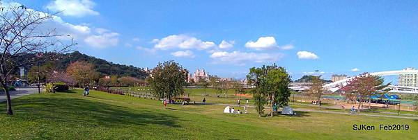 155-P_20190202_141727.JPG 155-P_20190202_141727.JPG