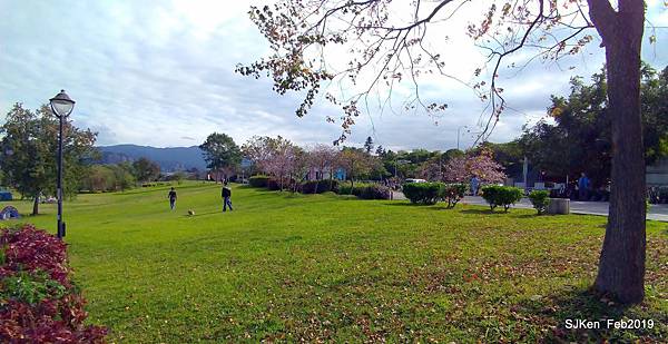 157-P_20190202_143210.JPG 157-P_20190202_143210.JPG