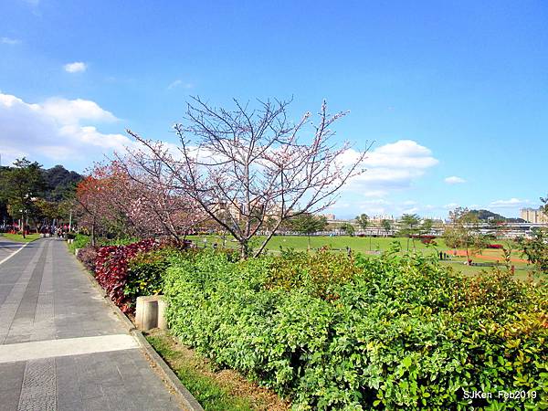 161-IMG_0814.JPG 161-IMG_0814.JPG