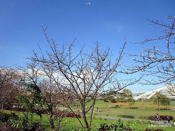 164-IMG_0817.JPG 164-IMG_0817.JPG