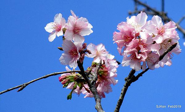 165-IMG_0775.JPG 165-IMG_0775.JPG