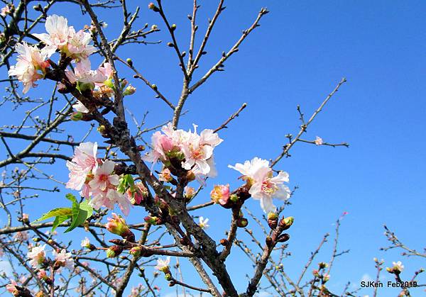 166-IMG_0754.JPG 166-IMG_0754.JPG