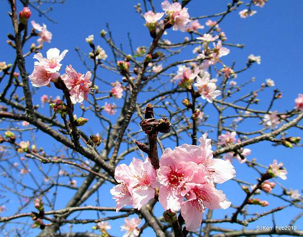 167-IMG_0763.JPG 167-IMG_0763.JPG