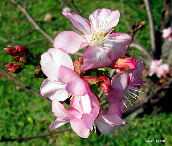 168-IMG_0802.JPG 168-IMG_0802.JPG