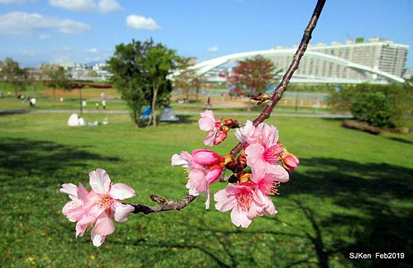 169-IMG_0784.JPG 169-IMG_0784.JPG