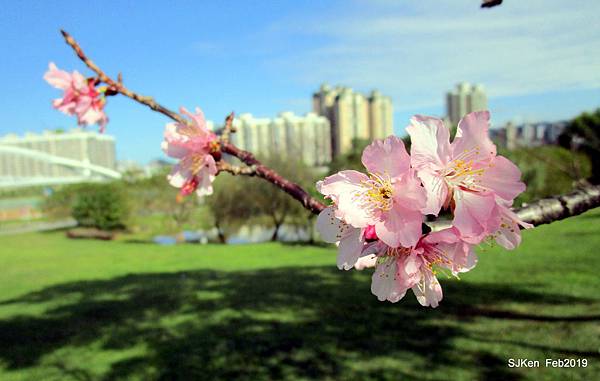 170-IMG_0783.JPG 170-IMG_0783.JPG