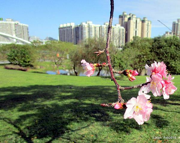 171-IMG_0782.JPG 171-IMG_0782.JPG