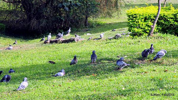 179-IMG_0795.JPG 179-IMG_0795.JPG