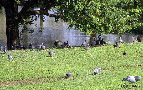 180-IMG_0794.JPG 180-IMG_0794.JPG