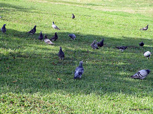 181-IMG_0807.JPG 181-IMG_0807.JPG