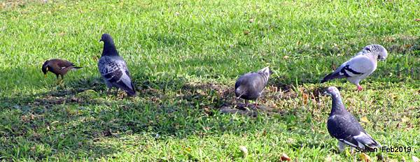 182-IMG_0806.JPG 182-IMG_0806.JPG