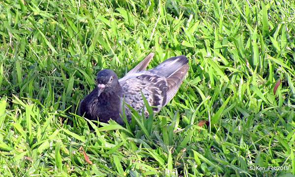 183-IMG_0805.JPG 183-IMG_0805.JPG