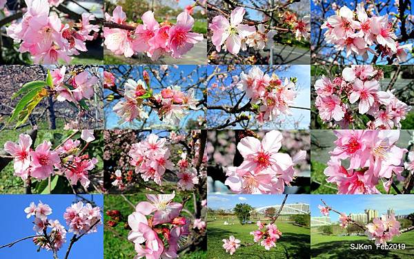 1-2019.02-003.jpg 1-2019.02-003.jpg