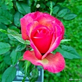 059-P_20190216_161205_vHDR_Auto.jpg
