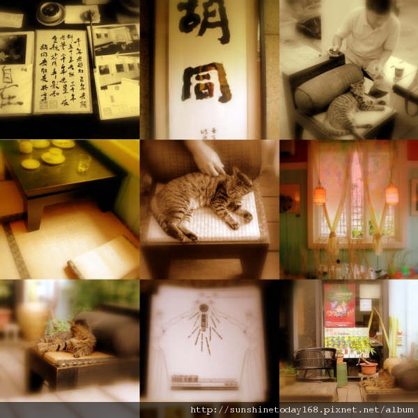 collage5.JPG collage5.JPG