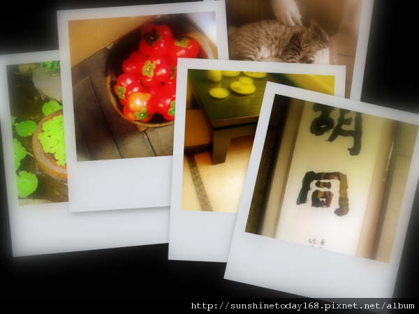 collage11.JPG collage11.JPG