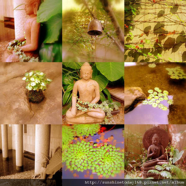 collage2.JPG collage2.JPG