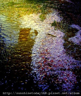 滄海桑田.jpg 滄海桑田.jpg