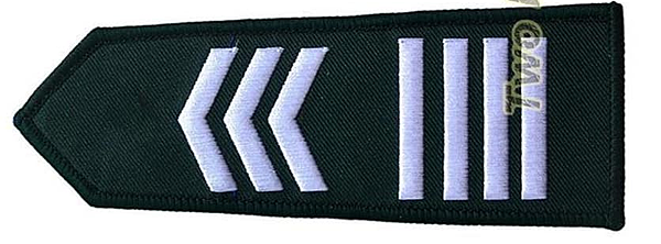 陸軍軍官學校四年制大學史 陸軍軍官學校四年制大學史