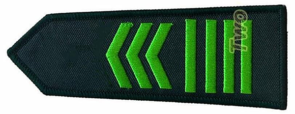 陸軍軍官學校四年制大學史 陸軍軍官學校四年制大學史