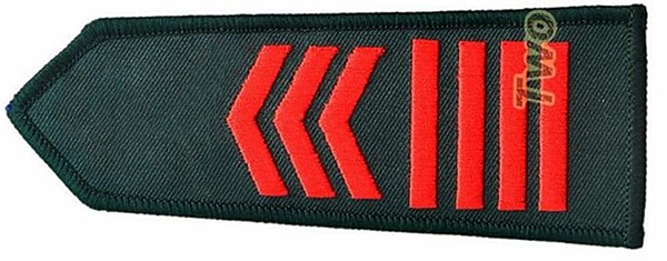 陸軍軍官學校四年制大學史 陸軍軍官學校四年制大學史