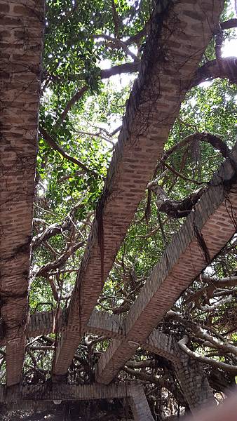 20180616_133949.jpg 20180616_133949.jpg