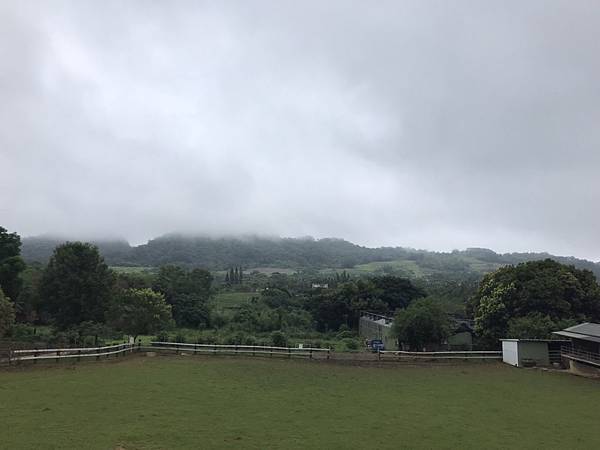 [食記] 台東 原生應用植物園-養生汆燙藥草鮮蔬鍋