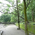 中正公園景觀09