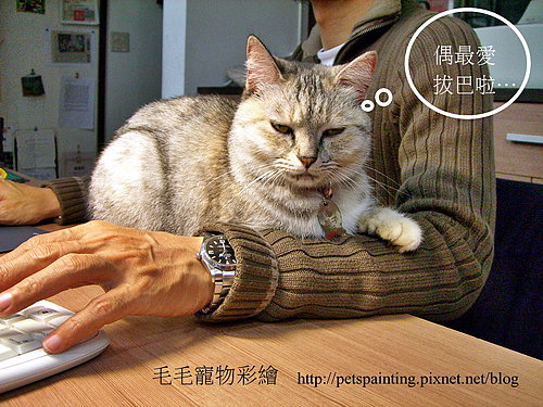妹子與拔巴9711-2.jpg 妹子與拔巴9711-2.jpg