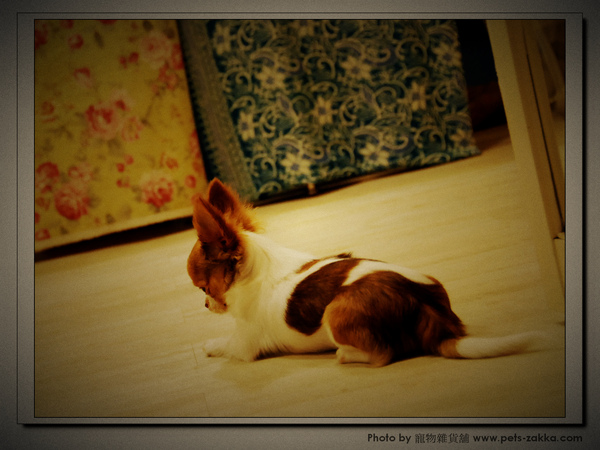 DSC_6961.jpg DSC_6961.jpg