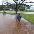 雖然一直下著雨, 但是是下著小傢伙喜歡的雨, 小傢伙似乎玩得挺滿足的ㄋ~ ^¤^