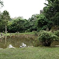 來到北投公園的一處池塘, 一旁有著幾隻烏龜和一隻白鷺鷥, 加上我家的一大一小 ⊙.⊙