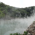 地熱谷溫泉泉水清澈, 水質是屬鹽酸酸性泉, PH值約1.6, 又俗稱「青磺泉」, 當地居民亦稱為「磺水頭」, 不可以洗身, 屬強酸類, 對建築物及金屬品腐蝕性強