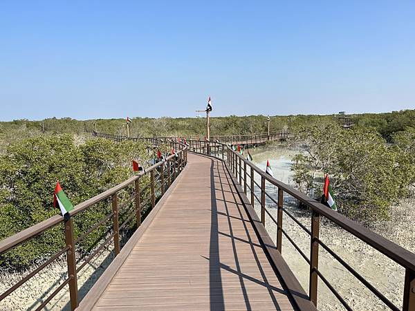 阿布達比秘境景點_紅樹林公園(Jubail Mangrove