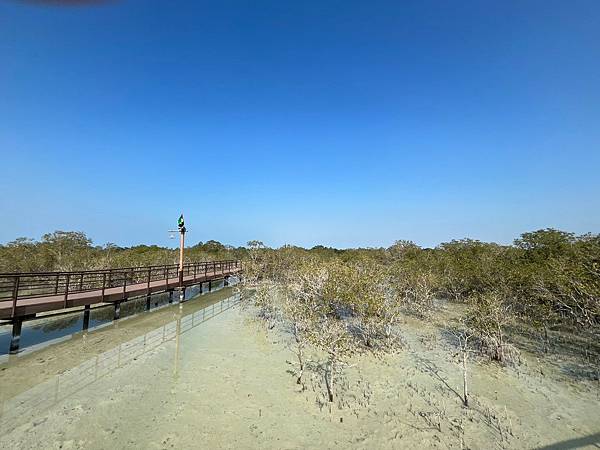 阿布達比秘境景點_紅樹林公園(Jubail Mangrove