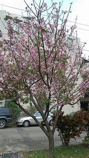 12924586_801164333323454_6646401760417880229_n 12924586_801164333323454_6646401760417880229_n