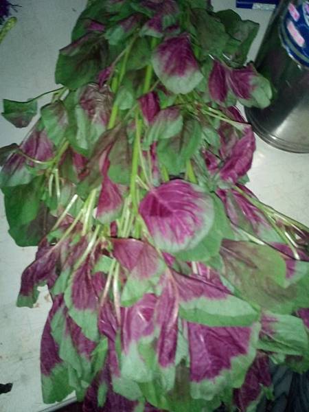 15338883_926908380774577_1051853235898330282_n