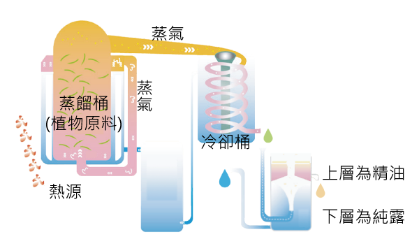 精油萃取1.png 精油萃取1.png