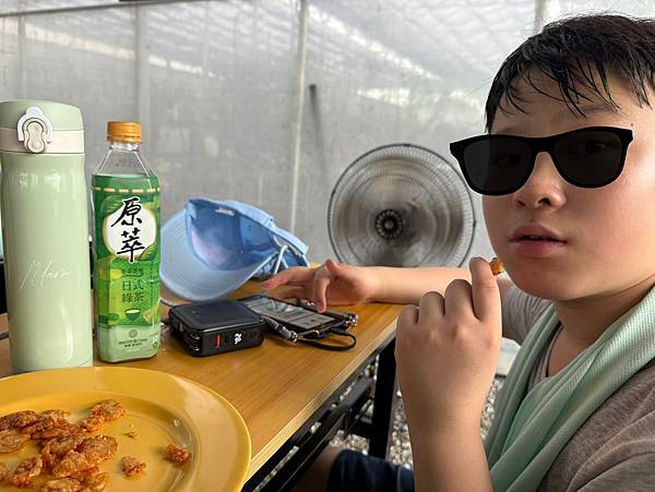 胖胖樹的熱帶雨林 營運前私密開放活動