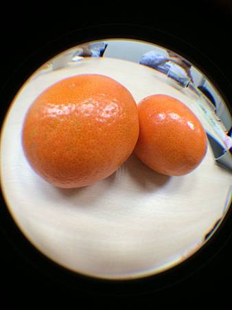 add phone cam add phone cam