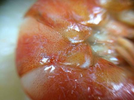 IMG_7479 IMG_7479